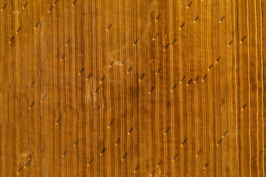 Vše o Katastru Nemovitostí: Jak Správně Využít Tento Registr?