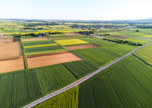Jak Katastr nemovitostí pomáhá při koupi a plánování pozemků?